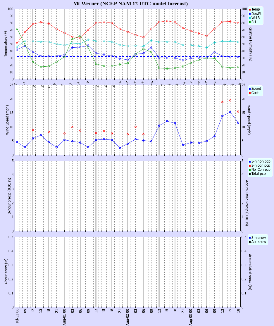 Latest NAM forecast